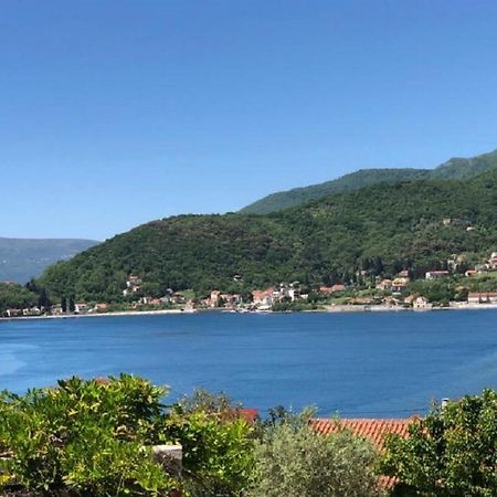 Apartments Todorovic Tivat Bagian luar foto
