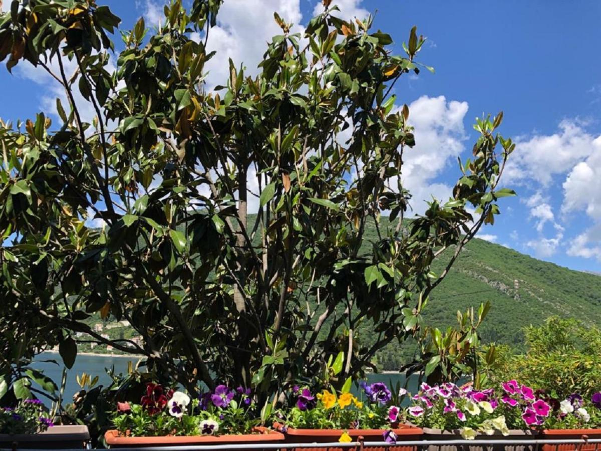 Apartments Todorovic Tivat Bagian luar foto